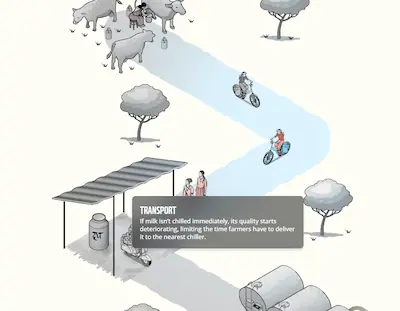 Still from a scrollytelling section which showcases the delivery of milk